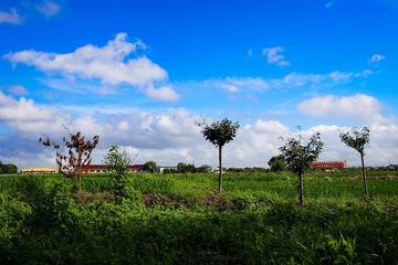 A75587A8-9FFF-4F61-B17F-1C0CA717BF21/L0/001