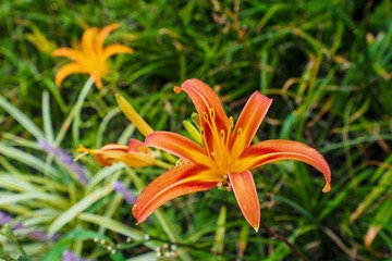 9740EF32-054E-4DF5-BC8D-0CD6FDFCDDFF/L0/001