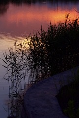 F84172B4-1F2E-4FEF-9348-4FD9E6D1D428/L0/001