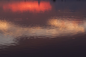 DCE3A9F1-3B13-49BA-8C50-0310EF901502/L0/001