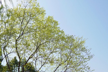04B4FDB3-B3BE-4AB5-A620-06DE1184B9EC/L0/001