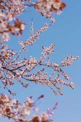1C713BF3-0015-4783-9F2F-BF49CCE71877/L0/001