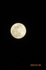 825CE4EF-5D6B-4C13-945F-FED8D1B841D2/L0/001