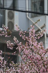C8B2570B-B976-4722-A3F5-CA29CBF6593A/L0/001