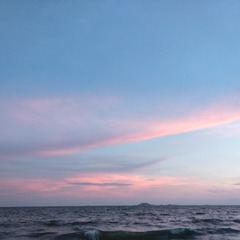 2764