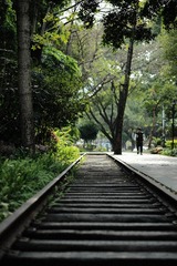 252706