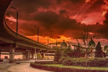IMG_8882.jpg