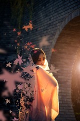 IMG_0468 j