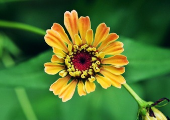 DSC_4133 副本.jpg