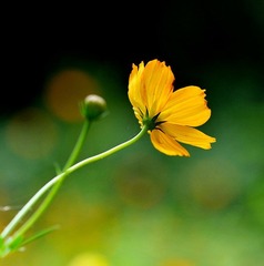 DSC_4256 副本.jpg