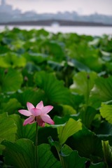 1571FBB5-925F-4C5C-B119-91CB493A6702/L0/001