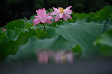 8511101C-6AA7-4441-9CF9-81BAEC9FC17F/L0/001
