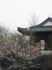 AFA828C3-9380-4759-AF3B-B7A8CF41703F/L0/001