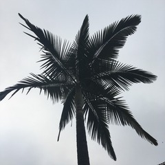C65EC741-7B85-462A-B01E-29D45C855B71/L0/001