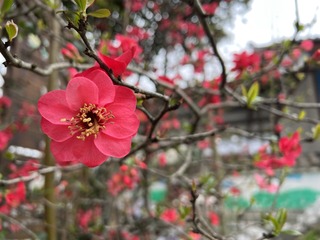 51C7059C-324C-436F-89B9-E001E8EB74A8/L0/001