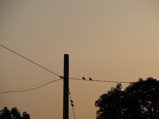 EAE73139-F5A2-44A2-85B9-ED764B303BC1/L0/001