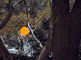 1000125515