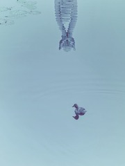 1000092343