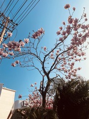 EEF0D0DB-36DA-4214-A919-E02B88699C7E/L0/001