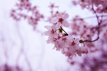 B93A0A37-5F5E-4C05-BA9E-136D564AFEB6/L0/001