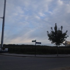 A6A2CEAA-E781-4F39-B4D7-DCEA3F80D93E/L0/001