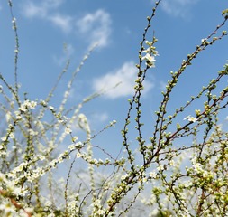 65774AB3-D725-443F-BFB5-F6BD59B9CD37/L0/001