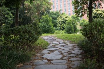 DSC01482.jpg