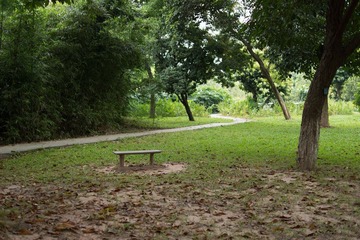 DSC01485.jpg