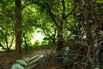 DSC01523.jpg