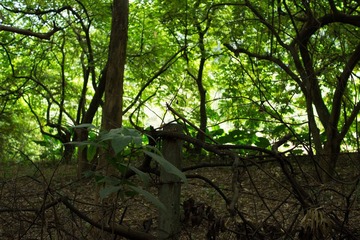DSC01527.jpg