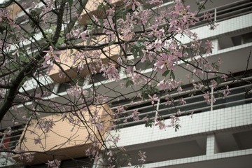 DSC01676.jpg