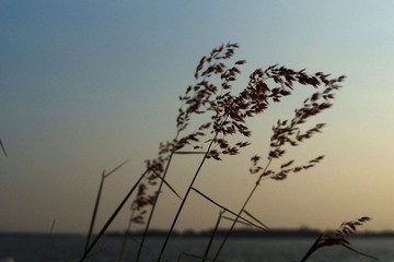 DSC02197-2.jpg