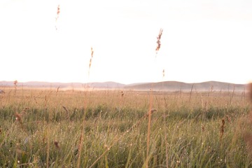 DSC05927.jpg