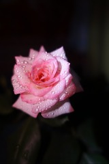 FAA4F033-3F92-4466-9F23-86C3A50B409B/L0/001