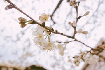 E9D048AA-65DF-45D3-819D-601076E46BC0/L0/001