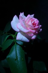 379BBA0B-C96B-46E4-A923-853989A69839/L0/001