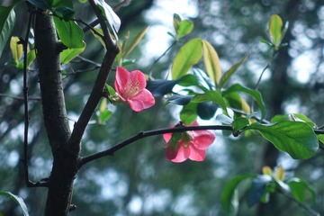 EE722AD8-B61C-4D0A-B095-F1CA3E489E04/L0/001