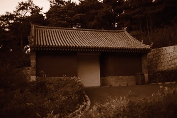 F6F01E9E-58C9-4C4D-8B91-FD120BDDB902/L0/001