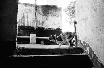 Untitled-16