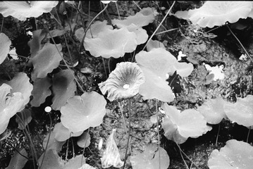 Untitled-2