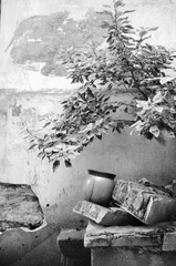 Untitled-27