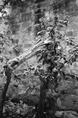 Untitled-49