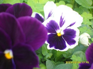 2B635012-9C91-42BE-871A-194561CE5A06/L0/001