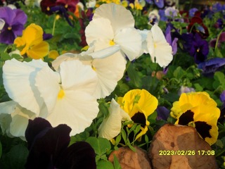 80A5AF9E-4F48-4B13-9238-27DD877E84AB/L0/001