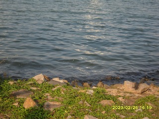1E6F3A39-BE95-4606-9EFE-839337226455/L0/001