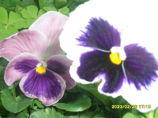 D84B6A21-7CA2-4AB8-ADEE-ED92ED81CD61/L0/001