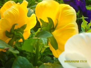 32E2BA7C-4532-4592-8365-35DFAC252E70/L0/001