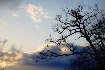 9E2BAF23-B91E-4CF6-A81E-409F3DD3B825/L0/001