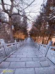 05575935-41DC-4D0E-949D-46B7FF167636/L0/001