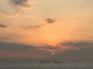 C870220F-C627-434E-AA1E-8FE243DDC74B/L0/001